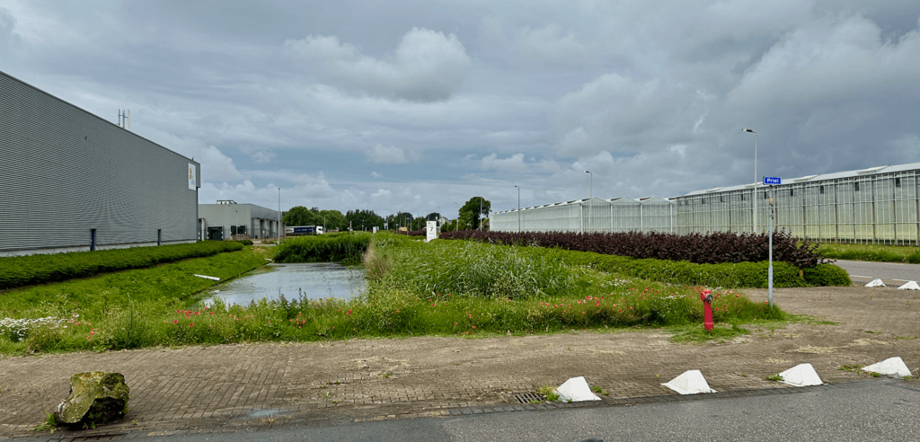 De Kulkweg in Hoek van Holland.