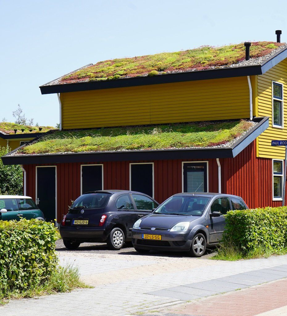 Groene daken kunnen door absorptie en verstrooiing het geluidsniveau verminderen. Beeld: Nanda Sluijsmans