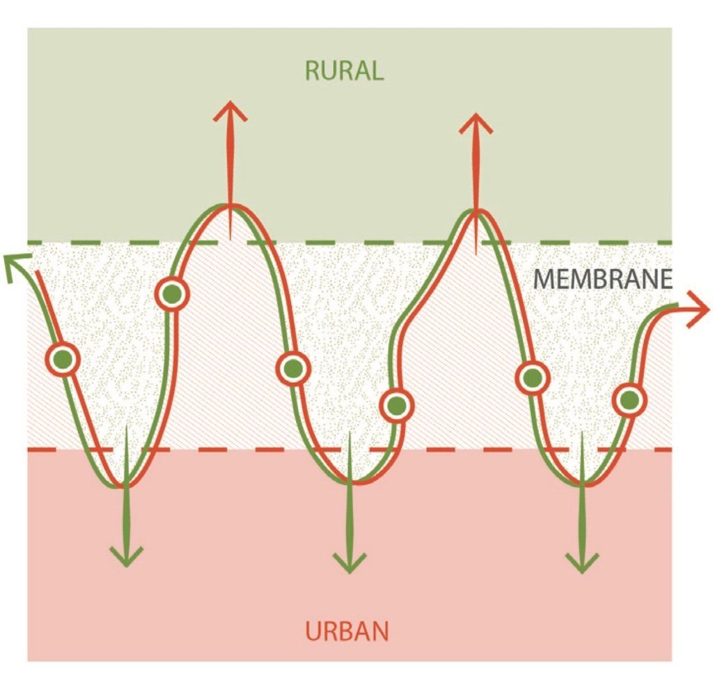 Conceptuele illustratie van de werking van de TiB als membraan; een uitwisselings- en interactiegebied voor menselijke en niet-menselijke soorten tussen de stedelijke en landelijke biotoop. Beeld: van den Brink e.a. 2022.
