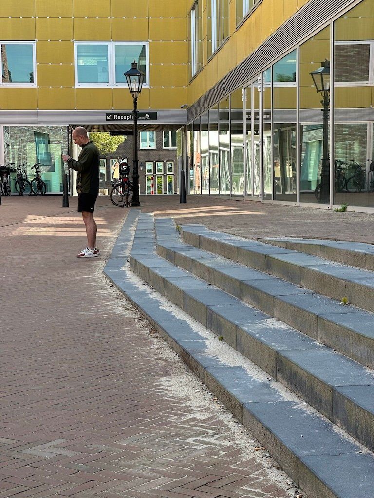 Kleine hoogteverschillen. Beeld: Michiel Huijsman