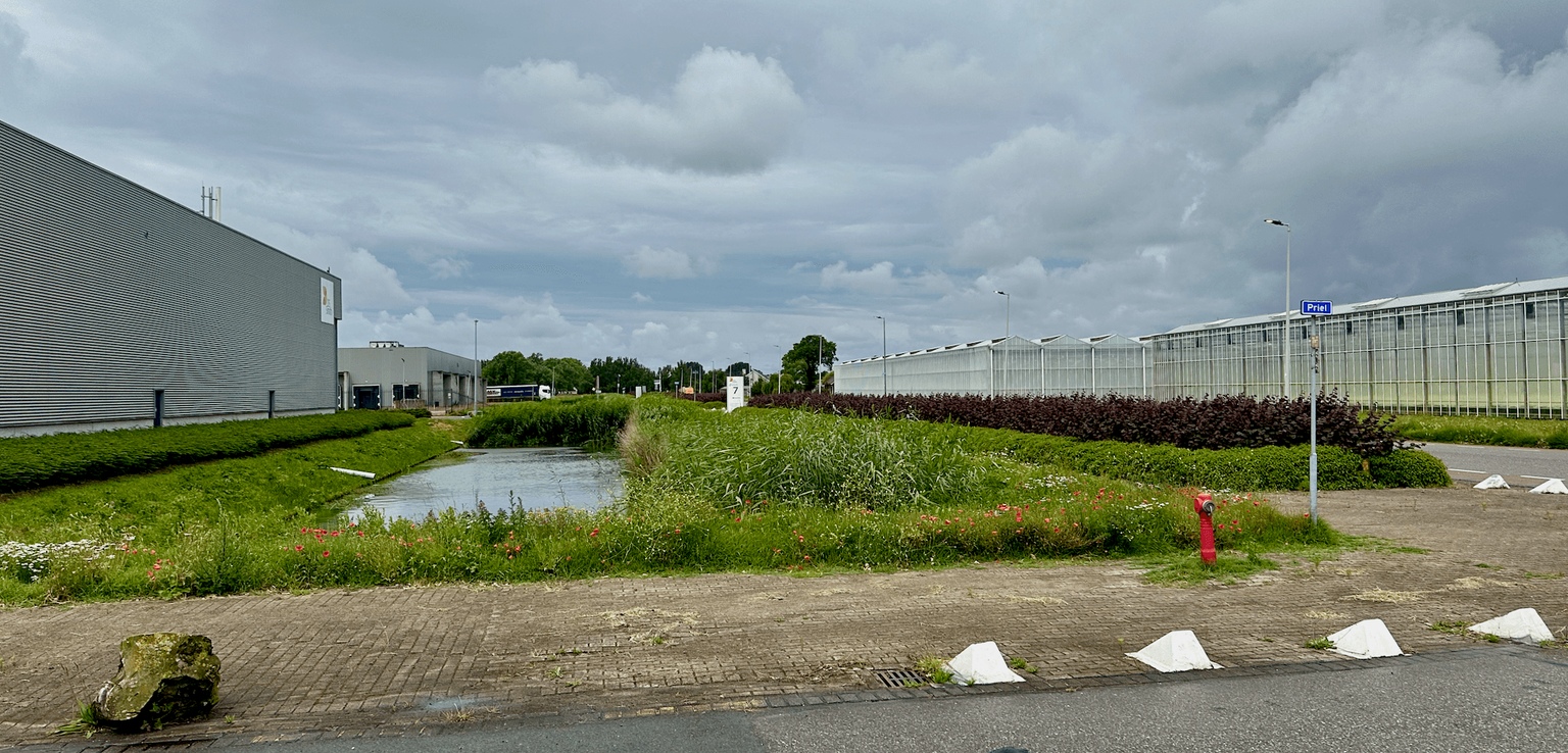 De Kulkweg in Hoek van Holland